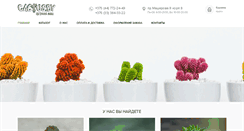 Desktop Screenshot of cactus.by