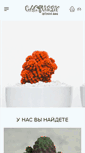 Mobile Screenshot of cactus.by