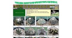 Desktop Screenshot of cactus.or.kr